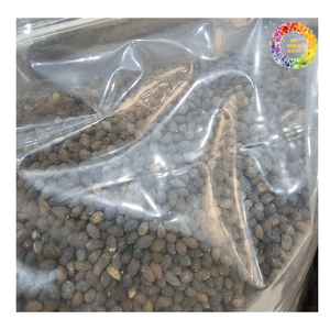 เมล็ดมะละกอผลไม้เขตร้อนเมล็ดมะละกอทั้งเมล็ดสำหรับชา | ทำความสะอาดเมล็ดมะละกอแห้งจำนวนมาก | เมล็ดมะละกอสดสมุนไพร - Product Image 4