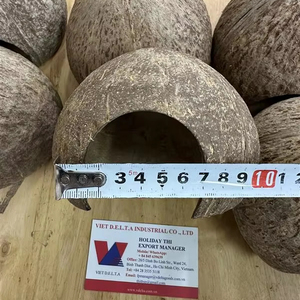 Nid d'oiseau artisanal en coquille de noix de coco Habitat nid de cachette d'été pour petits animaux meilleur prix du Vietnam - Product Image 3