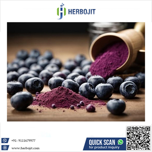 Extracto de Jugo de Arándanos en Polvo 100% Natural, Secado por Aspersión, Antocianina de Calidad Superior, Herbojit International a Bajo Precio - Product Image 6