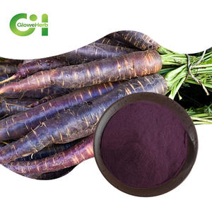 أفضل سعر مسحوق الفواكه والخضروات مسحوق عصير الجزر الأسود بالجملة - Product Image 1