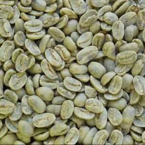 เมล็ดกาแฟโรบัสต้าออร์แกนิคสีเขียว ขนาด 18 เกรด AA+ ผลิตในเวียดนาม ขายส่งจำนวนมาก ส่งออก พร้อมใบรับรองออร์แกนิคจาก USDA TNFOOD 1000 กิโลกรัม - Product Image 1