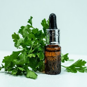 Bulk Pure, Natural Parsley Leaf <b>Essential</b> <b>Oil</b> for <b>Diffuser</b>, Massage, Soap & Cosmetics | OEM Private Label Manufacturer Exporter - Product Image 1
