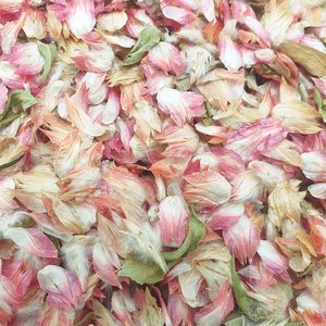 Vendita di Fabbrica: Coriandoli Floreali Biodegradabili 10g, Petali di Fiori Secchi Rossi di Prugna e Amaranto, Gomphrena Globosa per Matrimoni - Product Image 1