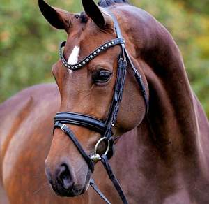 Brida de caballo sueca de charol, cristales ostentosos, brida occidental de caballo, producto fabricado - Product Image 1