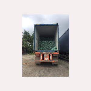 Bâtons de balai de noix de coco du Vietnam naturels et durables pour nettoyer et balayer les feuilles - Product Image 2