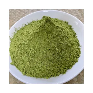 Prezzo del produttore-polvere di foglie di Moringa secca estratto vegetale biologico al 100% senza proteine e calcio ricchi mentali pesanti