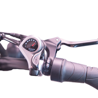 Vélo électrique de livraison de nourriture 4G IoT GPS 2026 avec verrouillage/déverrouillage à distance par application pour la logistique du dernier kilomètre