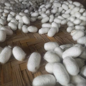 Fournisseur en gros d'exportation de cocon de soie naturelle du Vietnam, traitement de beauté haut de gamme - Product Image 1