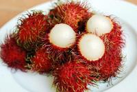 Hoge Kwaliteit Biologische Bevroren Iqf Java Rambutan Uit Vietnam Klaar Voor Export In Bulk Water Geconserveerde Verpakking