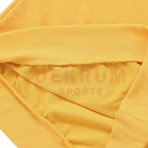 Nouveau Style Hiver Chaud Casual Wear Femmes Sweatshirts Séchage Rapide Confortable avec Logo Avant - Product Image 4