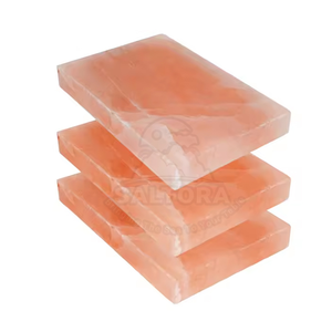 100% briques de sel de l'Himalaya naturelles pures carreaux de mur de sel écologiques pour le sauna et les salles de relaxation du Pakistan - Product Image 1