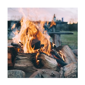 Kiln dried firewood / Beech oak ash birch firewood 25cm and 33cm - Product Image 5
