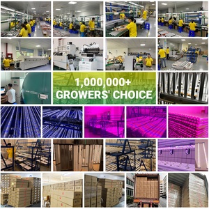 Mới Nhất Sinh Thái Thương Mại Trang Trại Tùy Chỉnh Mờ Bạch Tuộc 10 Thanh 1000W Làm Vườn Dẫn Y Tế Phát Triển Hệ Thống Ánh Sáng - Product Image 5