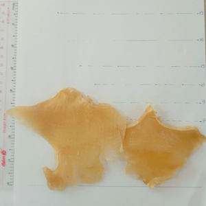 Auténtica aleta de raya natural vietnamita (Eihire) perfecta para restaurantes y minoristas - Product Image 1