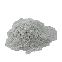 Ciment Portland 42.5R Prix Usine Décoratif Sac de 40kg Vente en Gros Qualité Export Livraison Rapide Approvisionnement Mondial Durcissement Rapide