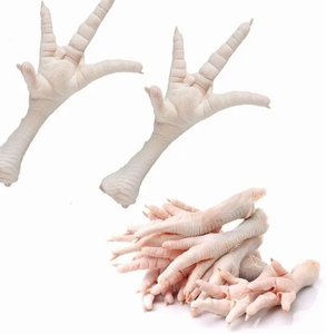 Patas de Pollo Orgánicas Congeladas de la Mejor Calidad a la Venta a Precios de Mayoreo - Product Image 1