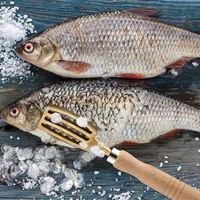 Raboteuse à écailles de poisson en laiton enlever le grattoir à écailles de poisson manche en bois massif grattoir à écailles de poisson emballage commercial