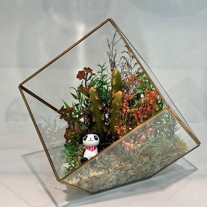GET0408GD - Grand terrarium géométrique en verre en forme de cube incliné doré - 12 - Product Image 2
