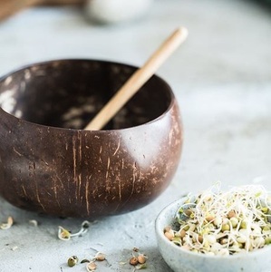Bol de camping jetable en coque de noix de coco naturelle écologique, fait à la main, léger, artisanat écologique, utilisation pour les fêtes, Inde - Product Image 1
