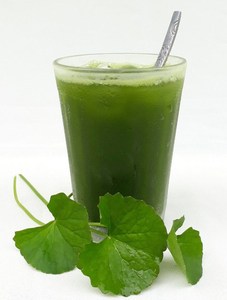 JUS DE PENNYWROT NATUREL CONGELÉ/QUALITÉ SUPÉRIEURE/PRÊT À CONSOMMER/EMBALLAGE EN VRAC DISPONIBLE - Product Image 5