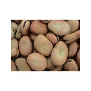 ขายส่งถั่วโฟวาแยกแห้งคุณภาพสูงถั่วกว้างราคาตอนนี้ - Product Image 5