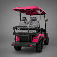 Voiturette de golf électrique 6 places améliorée UCB-DH-14, buggy de transport avancé pour hôtels et complexes hôteliers