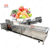 Gelgoog Automatische Bellenwasmachine voor Groenten, Appels, Mango's, Fruit en Groenten, inclusief reiniging, drogen, sorteren en verpakken.