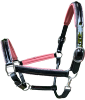 Licol de cheval à paillettes en nylon personnalisé avec selle anglaise Accessoires de participation de style équipement de cheval y compris la bride pour EquineCare