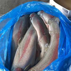 Morue en gros H/G, poissons congelés de Norvège - Qualité alimentaire - Product Image 2