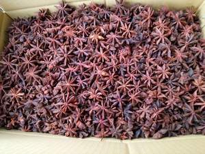 High Quality Dried Star <b>Aniseed</b> From Vietnam Best Price Spring Star Anise Single Spices & Herbs Agrikim - Product Image 5