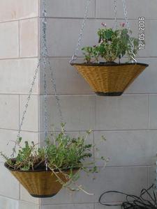 Maceta FRP pequeña de fibra de vidrio gris con textura áspera macetas y macetas para interior y exterior para uso en el hogar y el jardín - Product Image 5