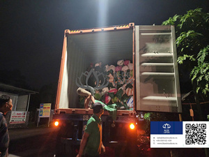 MEILLEURE VENTE Bâton de balai à noix de coco utilisé pour la fabrication de balais de nettoyage de sols extérieurs et ménagers Vietnam - Product Image 6