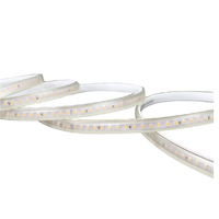 Nanoco Outdoor Led Strip 120 Chip Led IP65-2 Lijnen Smd 2835- 8W-Top 1 Landschapsverlichting In Vietnam