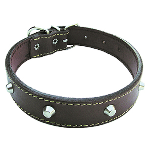 Collare per cani larghezza mm 40 lunghezza cm 65 - Product Image 1