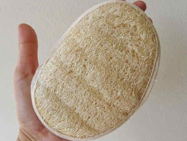 Good Quality Loofah - Loofa/Luffa - Natural Hotel Disposable Loofah From Vietnam With Cheap Price