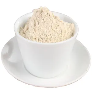 Wholesale Dry Powder Garlic Dehydrated Garlic Powder 100-120 Mesh