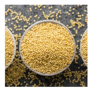 Millet jaune décortiqué biologique riche en protéines, sans gluten, pour la bouillie - Product Image 6