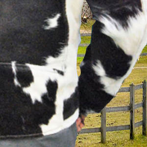 Chaquetas de cuero genuino de vaca totalmente personalizadas Chaqueta de cuero de vaca de color sólido resistente de bajo precio para hombres - Product Image 6