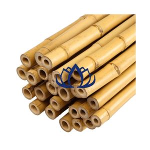 Caña de bambú gruesa y flexible para enrejado y soporte para plantas a bajo precio-LOTO AZUL de Vietnam - Product Image 1