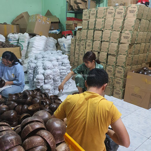 TOP SELLING PRODUCT 2025 HIGH QUALITY ORGANIC COCONUT <b>SHELL</b> BOWLS WITH BOX CUSTOM LOGO FROM ECO2GO VIETNAM - Product Image 6