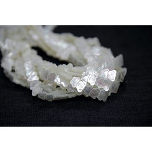 Perles en vrac en forme de coquillage pour jouet ours en peluche - Product Image 3