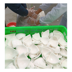 PRECIO AL POR MAYOR DE CARNE DE COCO LIERTA EN LONCHAS CONGELADAS, CARNE DE COCO JOVEN CONGELADA CON SABOR NATURAL - Product Image 1