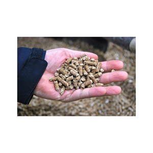 Nouveau Premium 6mm Classe Granulés De Bois Abete Briquette 15kg Sacs Pas Cher Épicéa/Pin/Chêne Échantillon Gratuit - Product Image 3