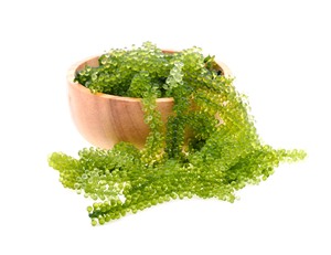 สารอาหาร-องุ่นทะเลคาเวียร์สีเขียวหนาแน่นเพื่อรองรับภูมิคุ้มกัน - Product Image 1