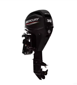 Motor fuera de borda EFI de 30hp en venta - Product Image 1