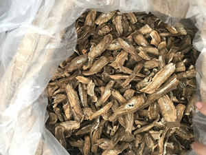 PRODUCTO DE RAÍZ DE BARDOCA fabricado en VIETNAM/ELECCIÓN SUPERIOR para su SALUD/CALIDAD PREMIUM - Product Image 4