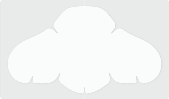 โปร่งใส