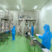 100% Pure Biologische Gevriesdroogde Mangopoeder Suikervrije Echte Fruitessentie Gewonnen Uit Verpakkingen Van Vers Fruit