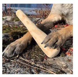 Bâton à mâcher en bois naturel et sûr pour chien, jouet à mâcher en bois pour café - Product Image 4