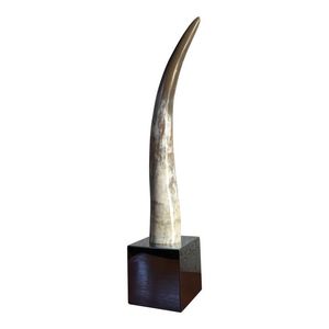 Modelo Decorativo de Cuerno de Toro Natural Real Hecho a Mano Estilo Americano Ecológico para Interiores de Oficina Moderna - Product Image 3